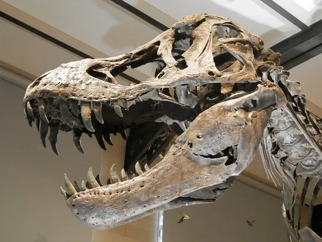 Følg i fodsporene på Marshosaurus - Den danske guide til at udforske denne dinosaur